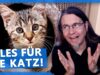 Plötzlich KATZEN-BABY 😻 Ein Erfahrungsbericht und Ratgeber.